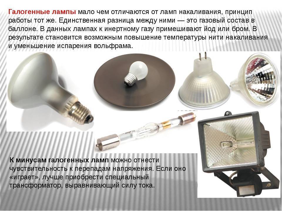 Как выбрать галогеновые лампы для дома (виды, преимущества и недостатки) ⋆ электрик дома