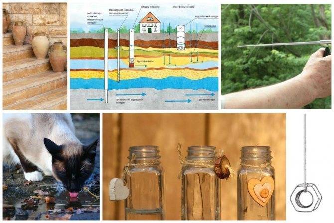 Как найти воду на участке для скважины или колодца