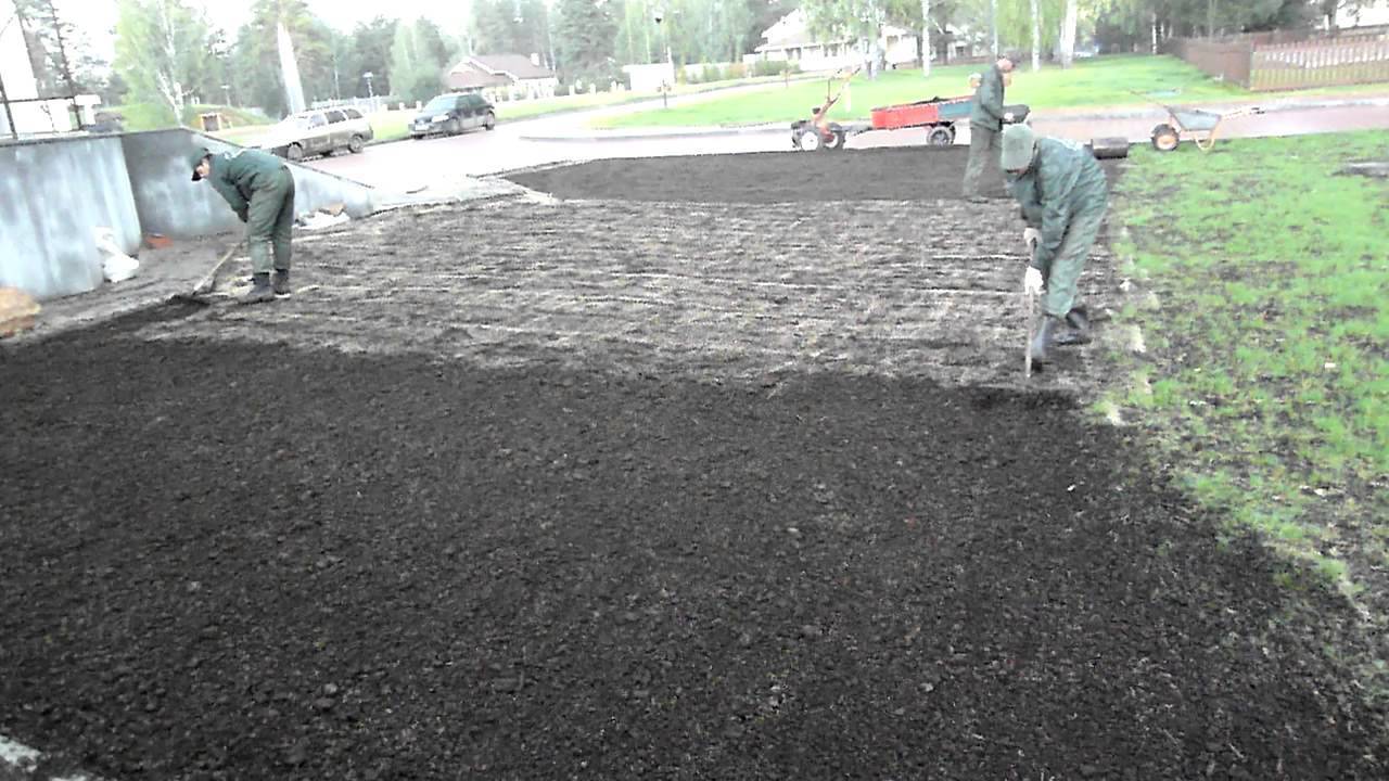 Газон на даче своими руками. посевной газон, подготовка почвы и посев