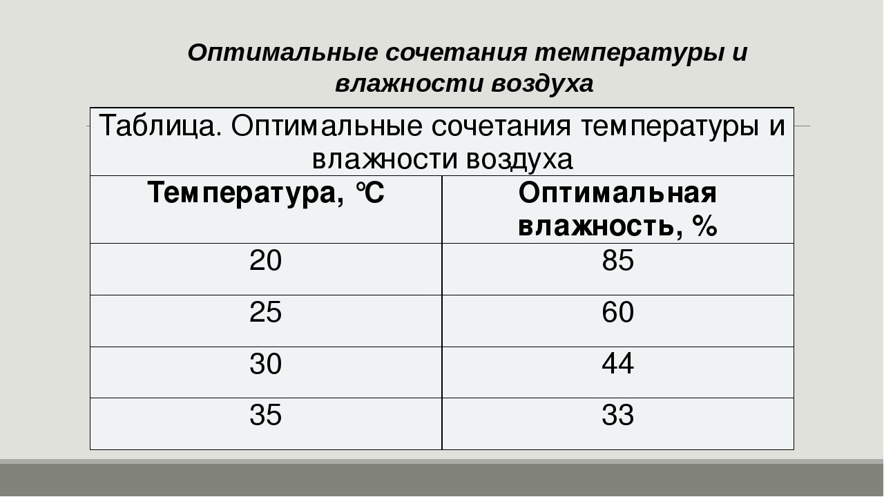 Норма влажности воздуха в квартире: оптимальные показатели