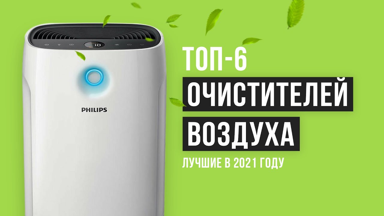 Очиститель воздуха для аллергиков: принцип работы, виды, рейтинг лучших