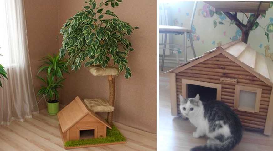 Домики для кошек из картонных коробок своими руками (36 фото): пошаговая инструкция по изготовлению домика для котов из картона и футболки