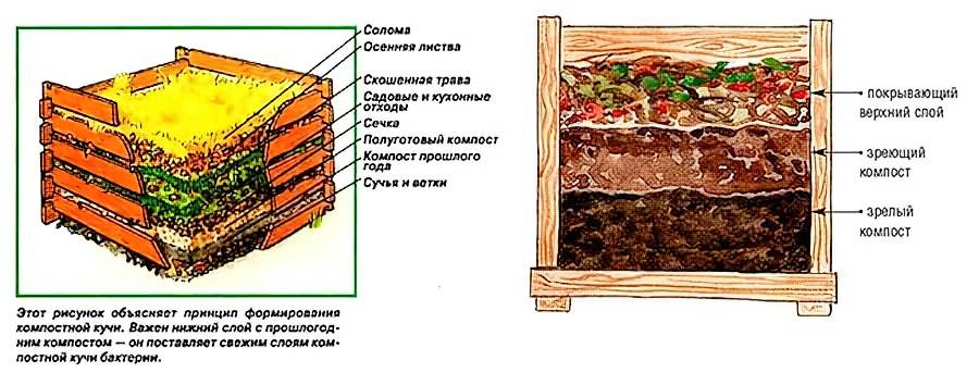 Компостная куча по правилам. как сделать компост своими руками? фото — ботаничка
