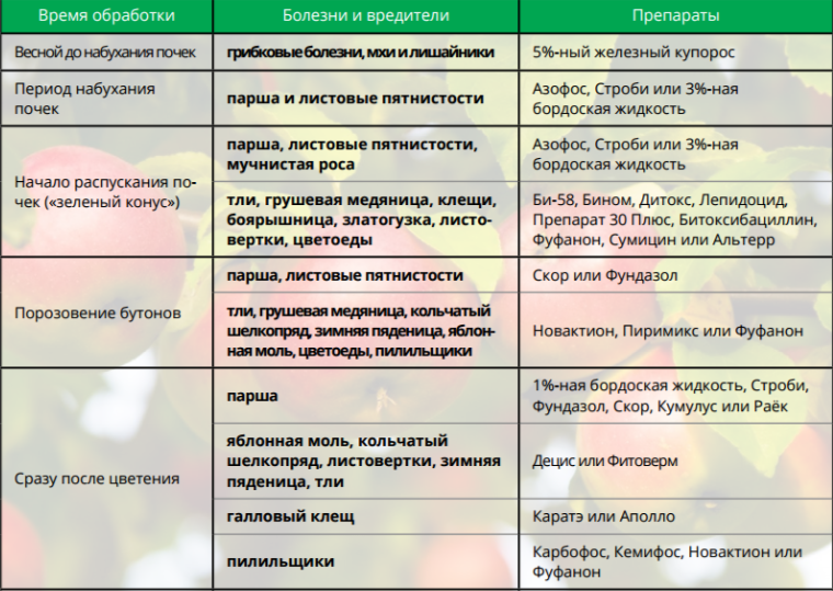 Апрельская обработка яблонь в 2019 году: самые опасные болезни и вредители, схемы защитных обработок | теплотехники