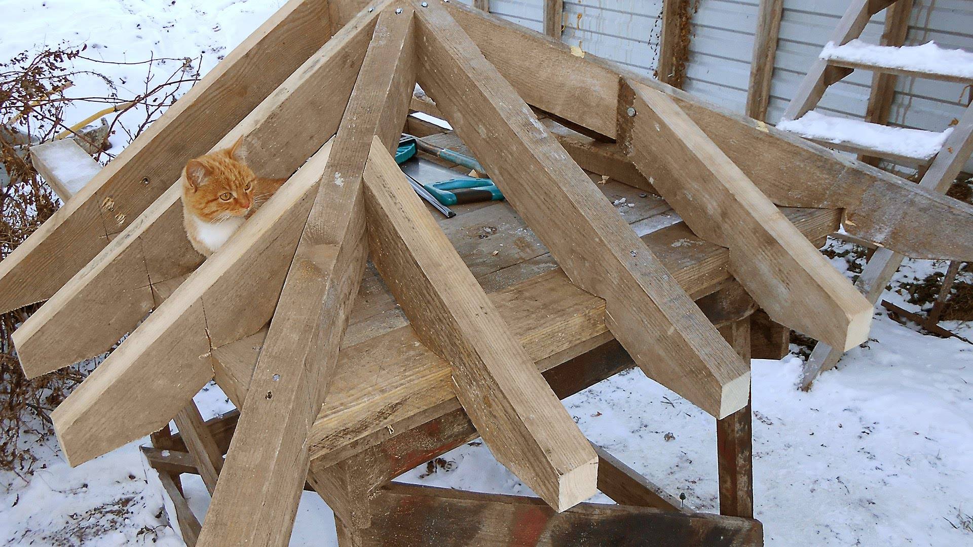 Как правильно сделать двухскатную крышу своими руками – пошаговая инструкция по конструкции и строительству двухскатных крыш