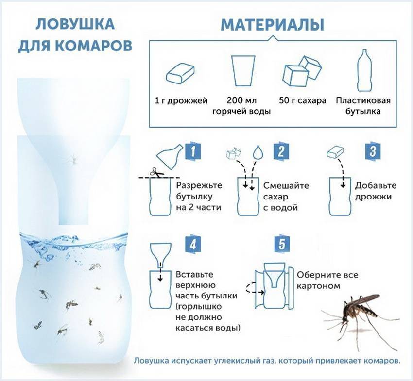 Как избавиться от комаров во дворе: 9 шагов