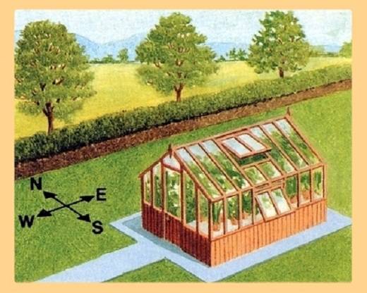 Как правильно расположить теплицу на участке по сторонам света схема
