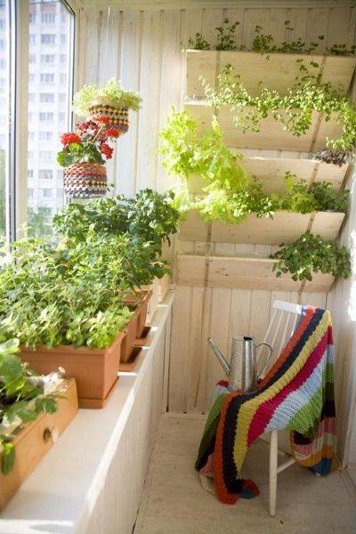 Как сделать зимний сад на балконе своими руками – фото, видео