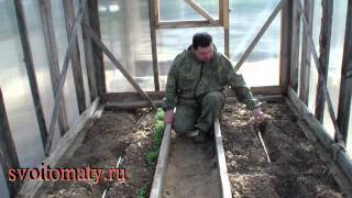 Автоматический полив для теплицы