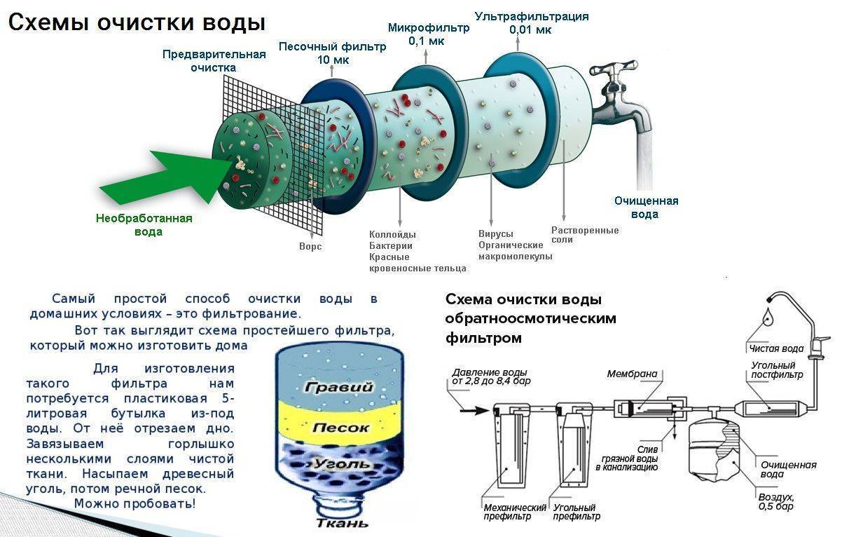 Как почистить фильтр в аквариуме: как часто нужно проводить процедуру, как разобрать и собрать внутреннее и внешнее устройство, а также, как правильно мыть