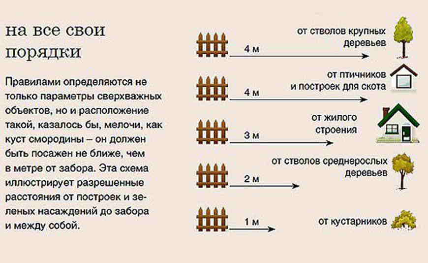 Тест: как понять, что ваш дачный участок морально устарел?