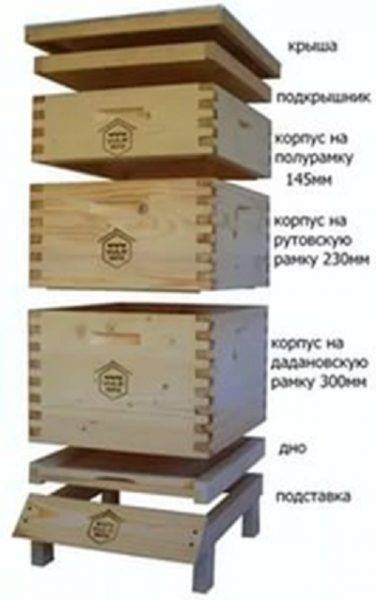 Пчелиный улей своими руками: чертежи, размеры, видео