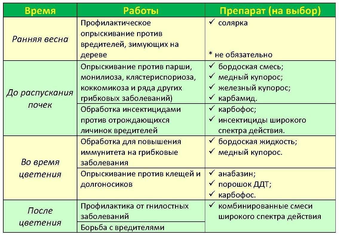 Весенняя обработка сада от вредителей и болезней: этапы, правила и меры безопасности