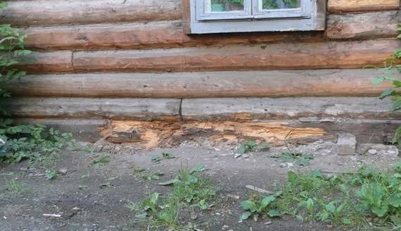 Замена и усиление фундамента под стоящим деревянным домом: объясняем досконально