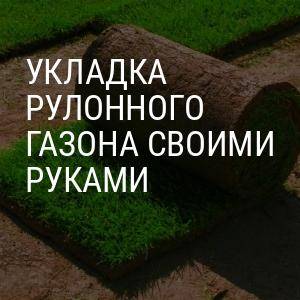 Укладка рулонного газона своими руками: нюансы | моя дача
укладка рулонного газона своими руками: технология | моя дача