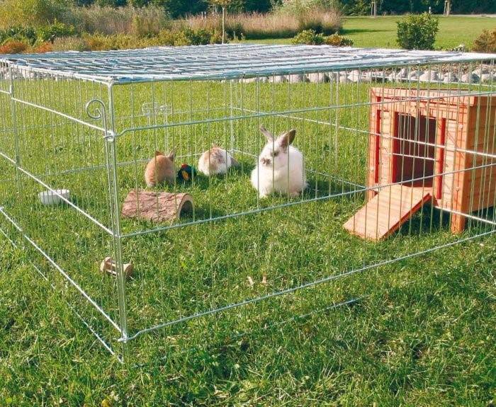 Клетки для кроликов своими руками: чертежи, размеры и пошаговая инструкция