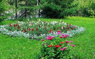 Ландшафтный дизайн сада (194 фото): оформляем участок с огородом на 6 сотках, с какими цветами сочетаются лилейники, красивые дворики с хвойными растениями