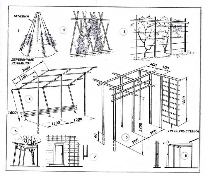 Пергола для винограда из металла своими руками фото схемы чертежи и размеры
