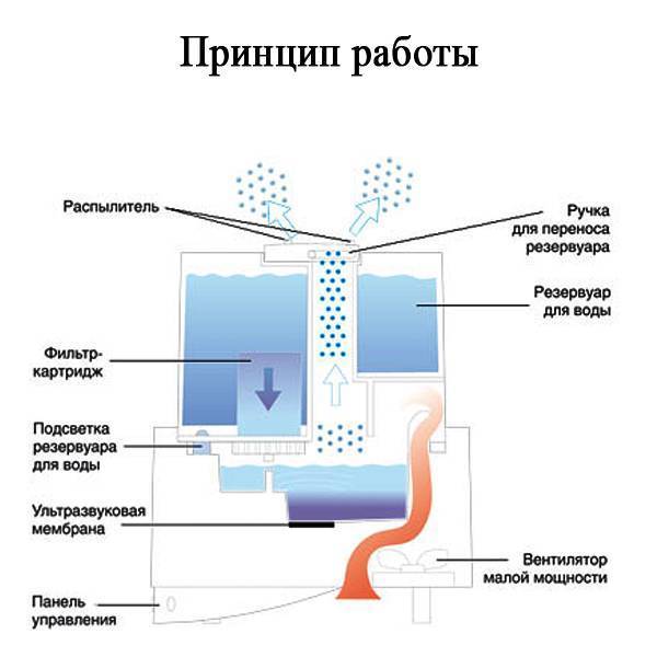 Ремонт увлажнителя воздуха своими руками и обзор основных неполадок
