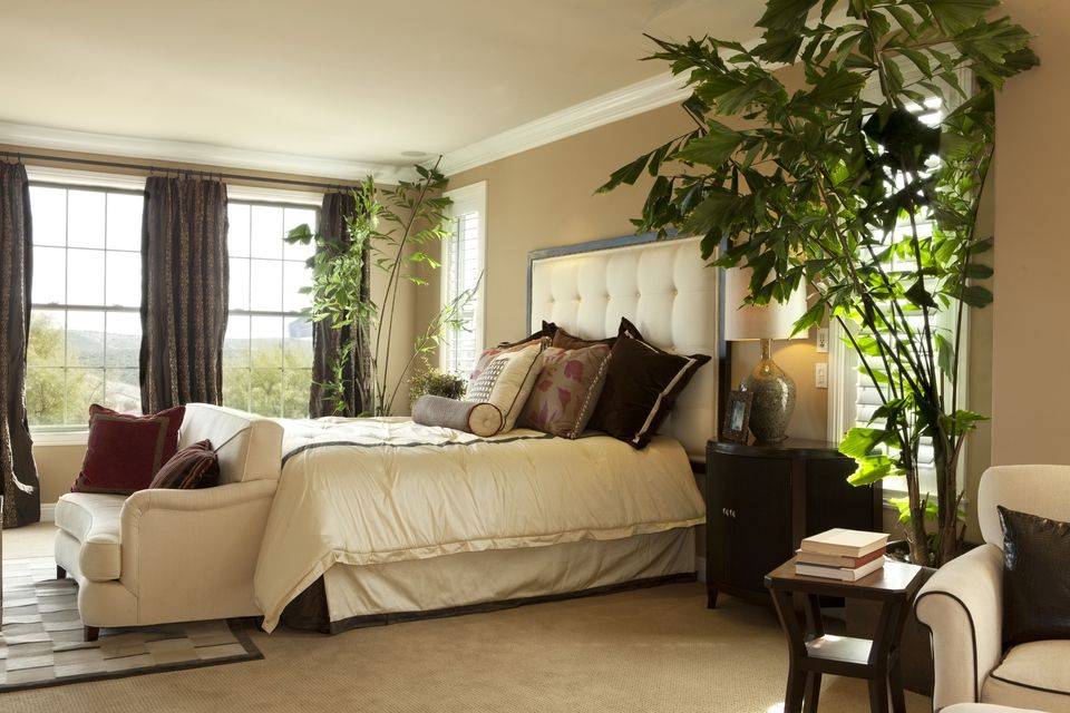 Какие цветы можно держать в спальне: лучшие растения комнатные, благоприятные орхидеи, полезные для детской
какие цветы можно держать в спальне: 9 популярных видов – дизайн интерьера и ремонт квартиры своими руками