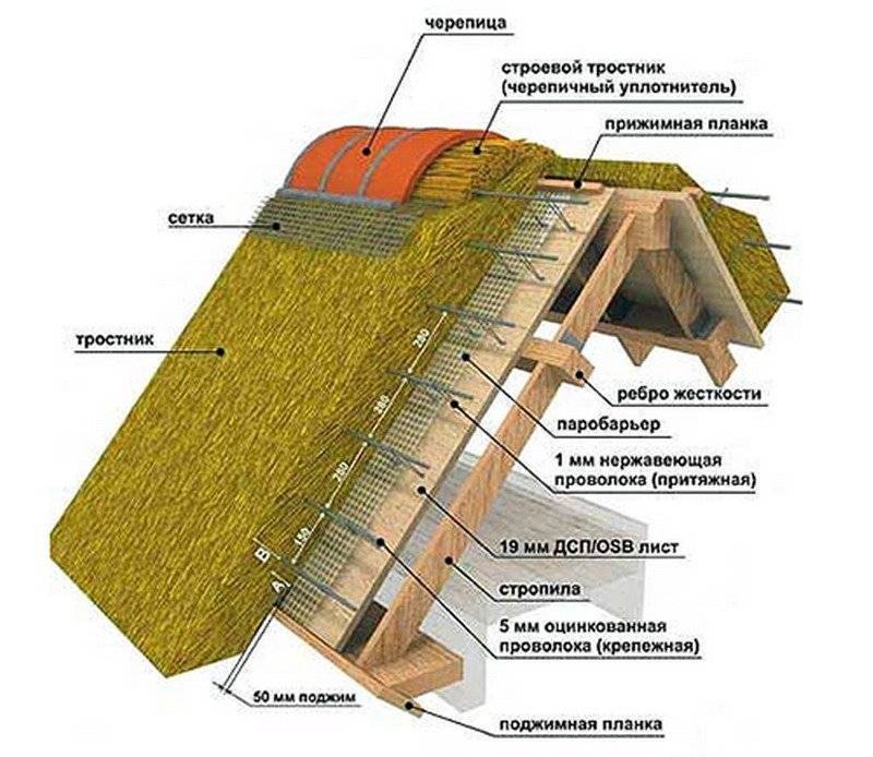 Крыша из камыша: технология строительства своими руками