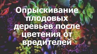 4 обязательных весенних обработки сада от болезней и вредителей