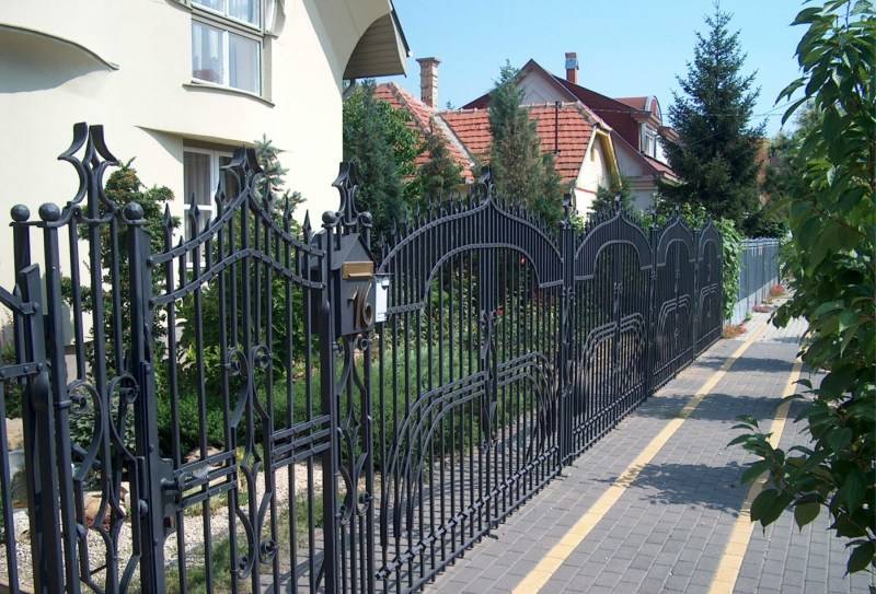 Кованые калитки (фото): с профлистом, с ручками из ковки, виноградной лозой и другими элементами, для частного дома, с забором, картинки красивых вариантов изделий