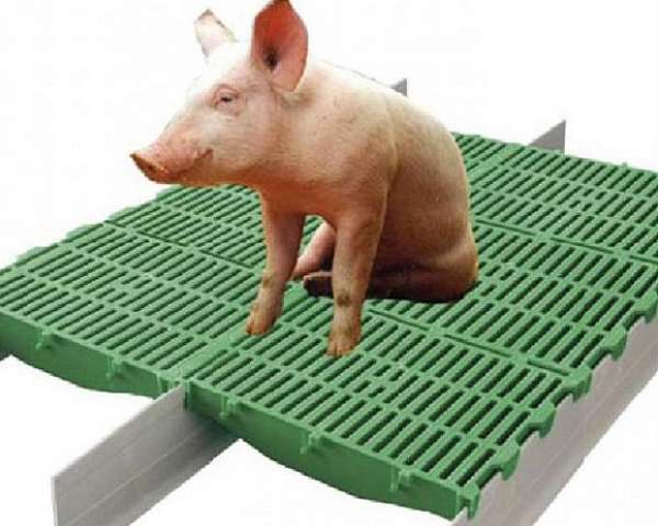 Сарай для свиней своими руками: чертежи, фото, список стройматериалов