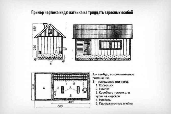 Индюшатник своими руками - ogorodguru