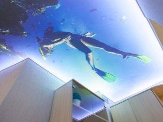 Натяжные потолки 3d (3д), с фотопечатью и перфорацией (10 фото)