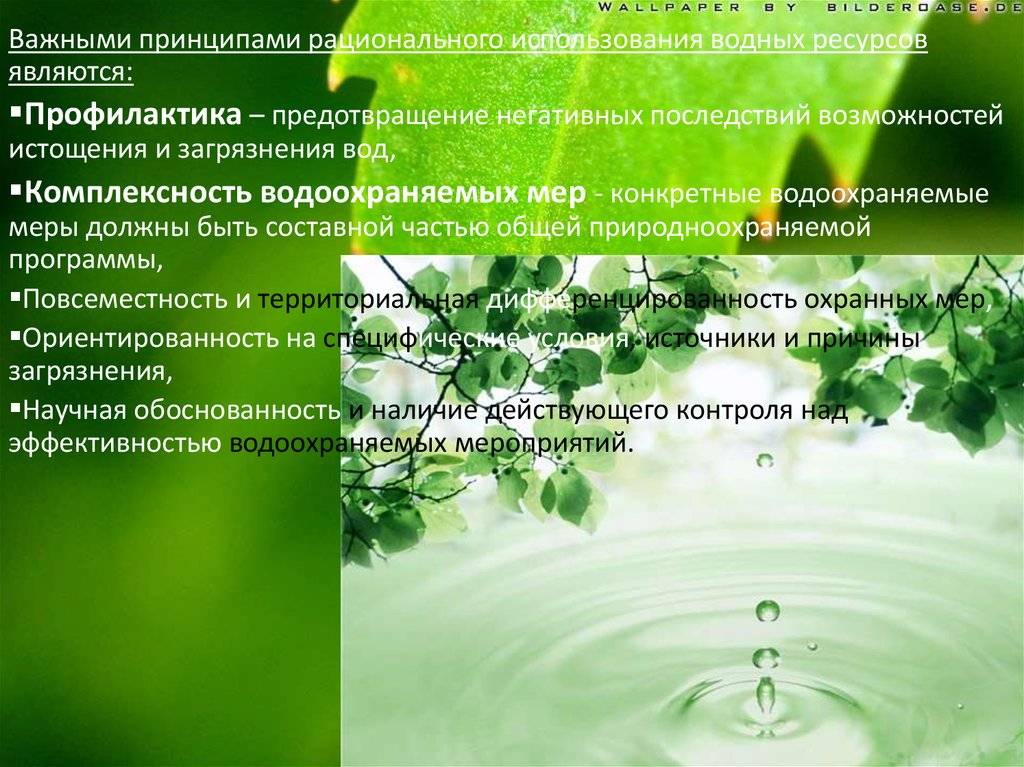 Желтая вода: почему из скважины ржавая на воздухе и покрывается пленкой после нескольких часов, что делать при кипячении в колодце