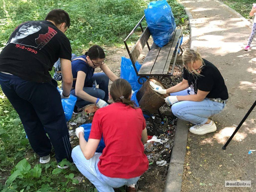 Как осушить участок: 4 способа избавиться от воды навсегда