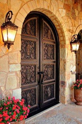 Входные металлические двери с ковкой и декоративные элементами: железные и стальные