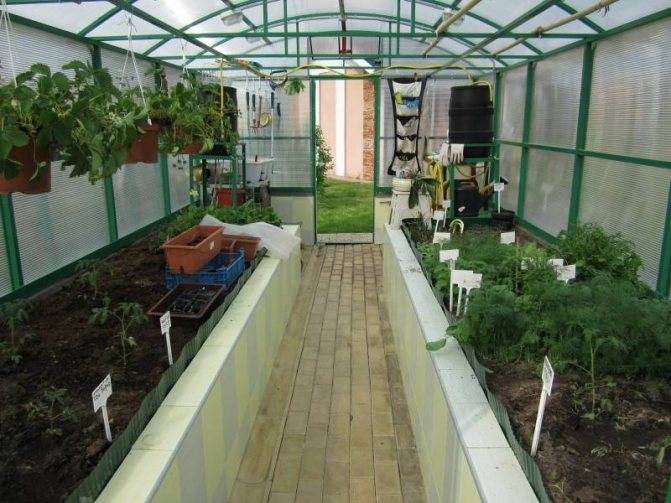 Грядки для ленивых: фото и рекомендации по созданию огорода - огород, сад, балкон - медиаплатформа миртесен