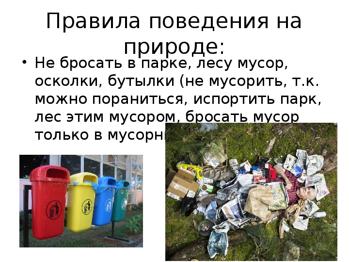 Мусор: история проблемы, влияние на экологию, методы борьбы