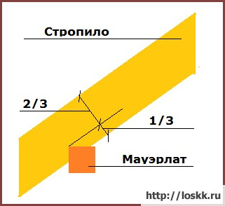 Запил мауэрлата