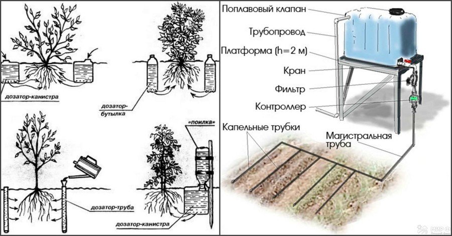 Капельный полив из пластиковых бутылок: решение для практичных и экономных