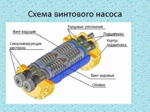 Как выбрать винтовой насос для скважины: особенности и нюансы конструкции