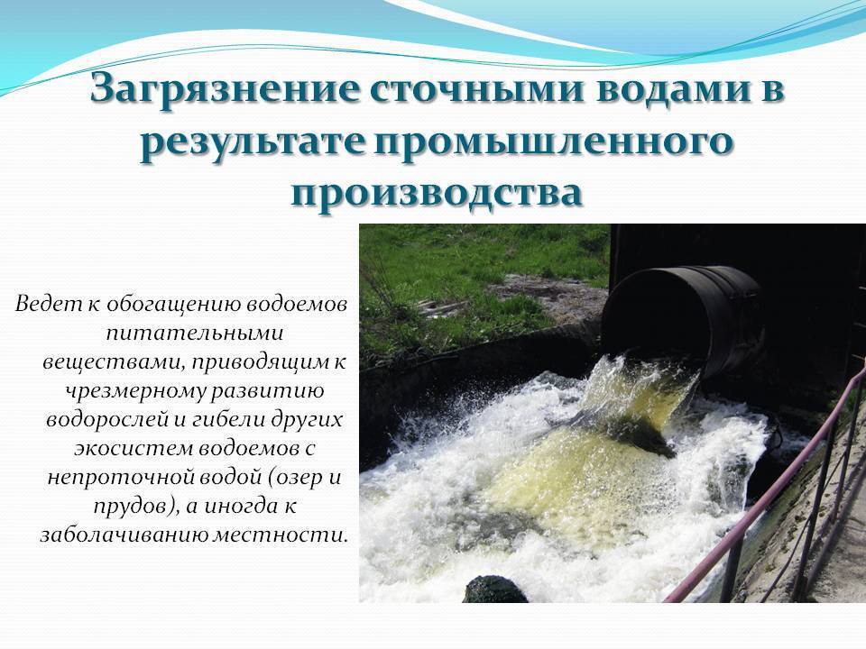 Каковы причины загрязнения воды из колодца? методы очистки