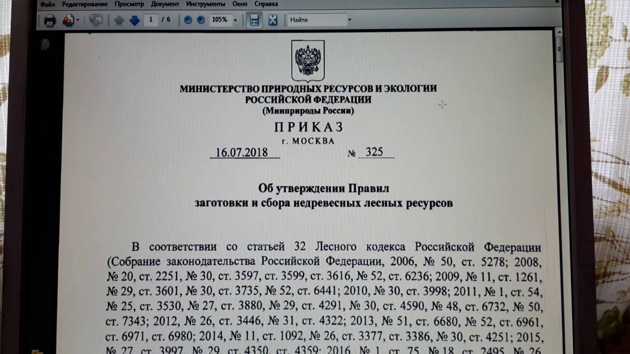 Как построить шалаш в лесу зимой: их виды и фото