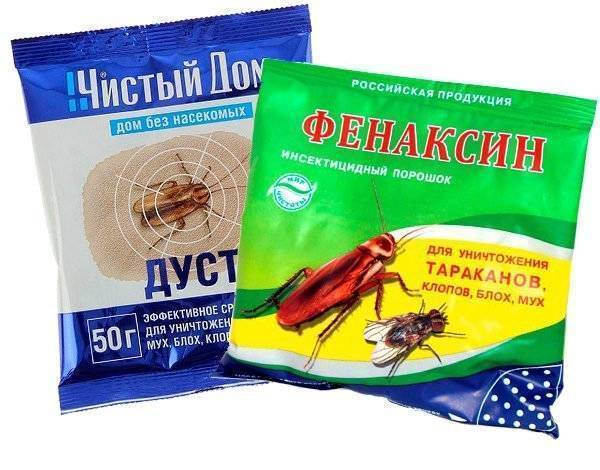 Как избавиться от мокриц быстро и навсегда: советы экспертов