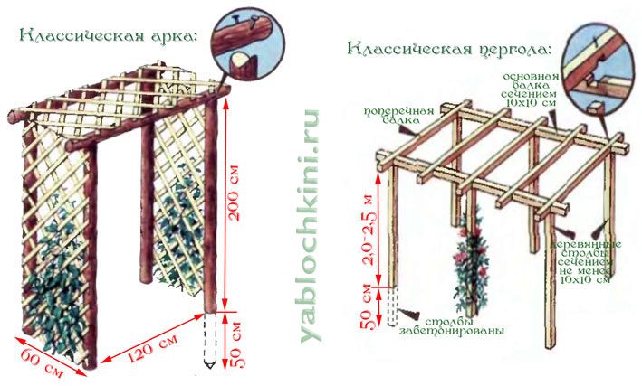 Пергола деревянная для вьющихся растений своими руками чертежи