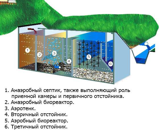 Септик росток: плюсы и минусы