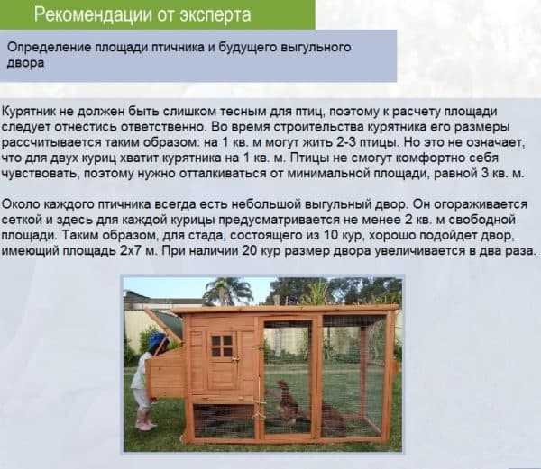 Курятник своими руками на 20 кур (44 фото): как построить всесезонный сарай, чертежи с размерами и проект устройства внутри