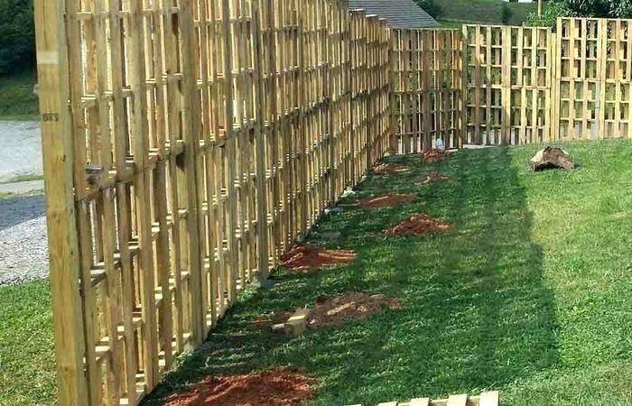 Забор из поддонов – как сделать дешевый забор, из каких паллет, изгородь на даче своими руками
