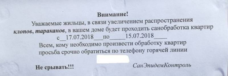 Как продезинфицировать квартиру: война с «нечистью» в домашних условиях