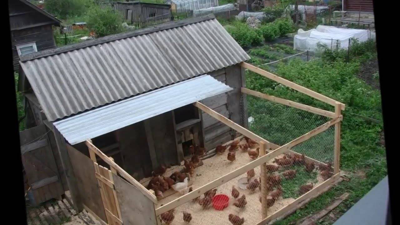 ✅ о загоне для цыплят своими руками: как сделать вольер, курятник, загородку - tehnomir32.ru
