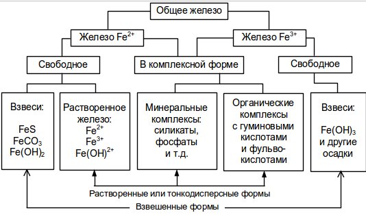 Железо общее. Схема существования различных форм железа в воде. Общие примеси железа. Соединение железа в поверхностных Водах.