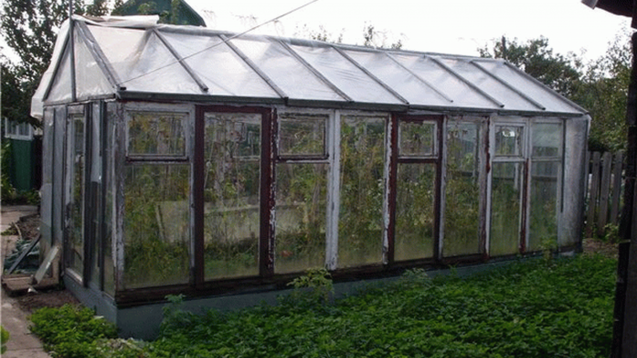 Теплицы для дачи и огорода: конструкции, материалы