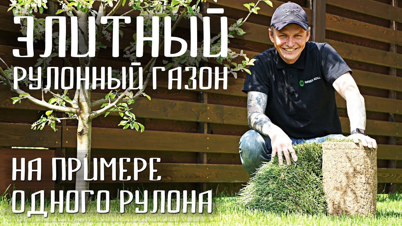 Рулонный газон — использование в ландшафтном дизайне и проектирование лужаек (90 фото)